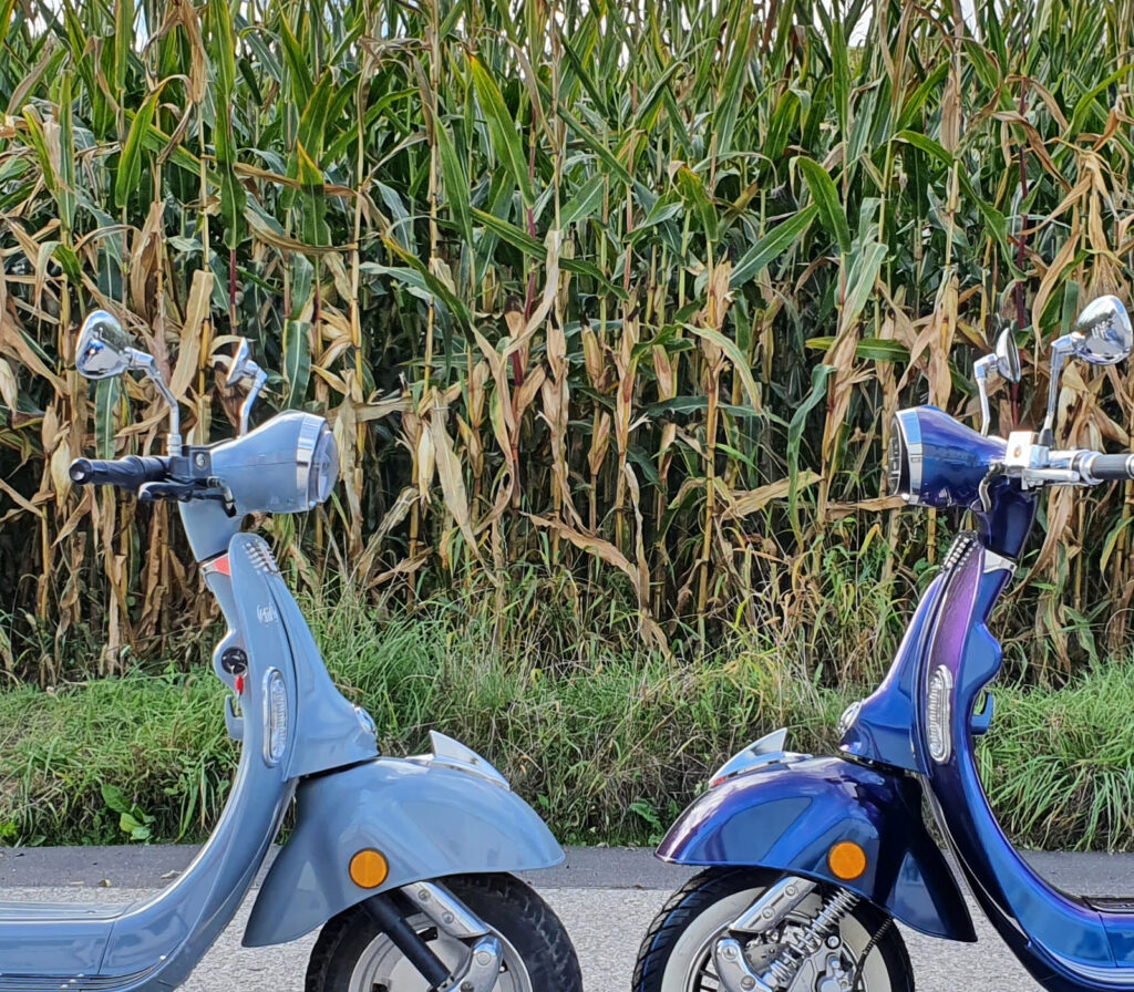 Reparatur und Verkauf von Elektrorollern in Hammerau bei Deinlein Motorroller